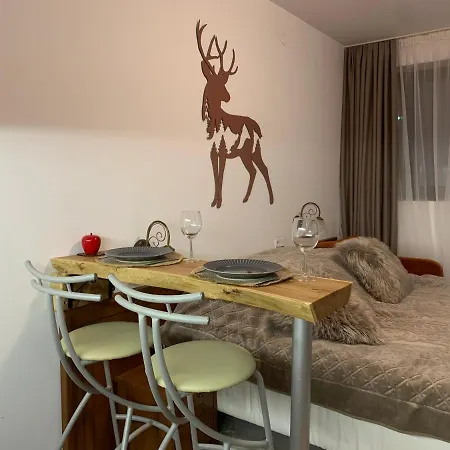 To Door De Luxe Apartamento Bansko