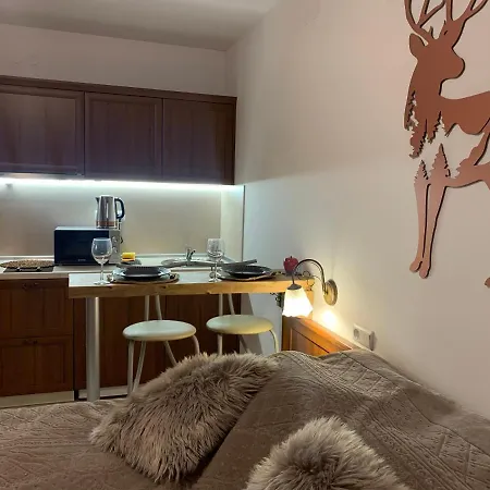 To Door De Luxe Apartamento Bansko